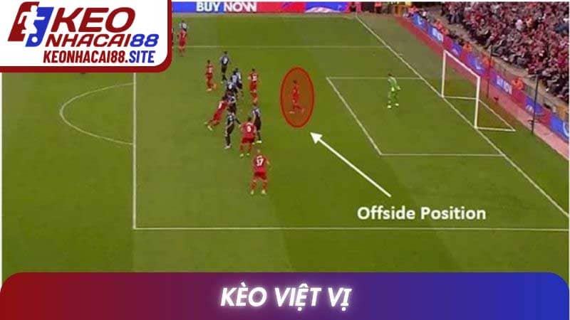 Kèo Việt Vị: Giải Thích Chi Tiết Luật Và Cách Phân Tích Chuẩn